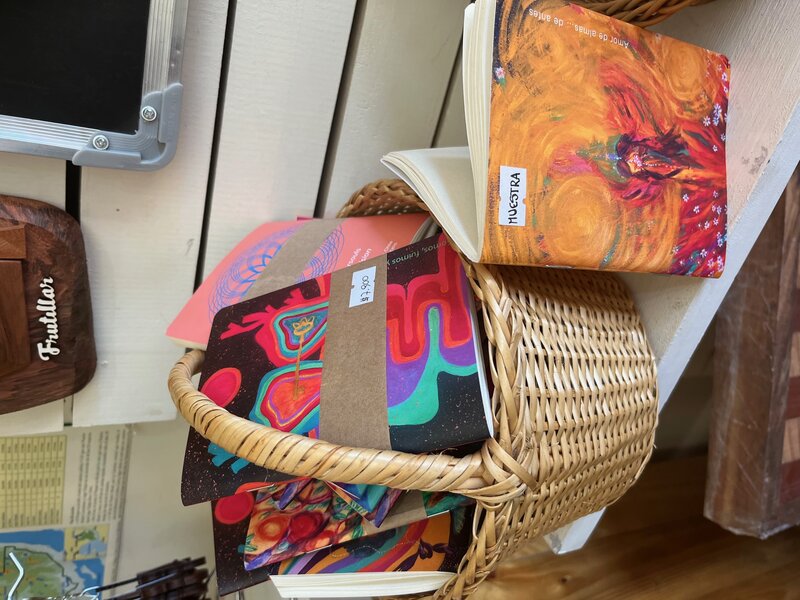 Libretitas en canasto en tienda de Frutillar
