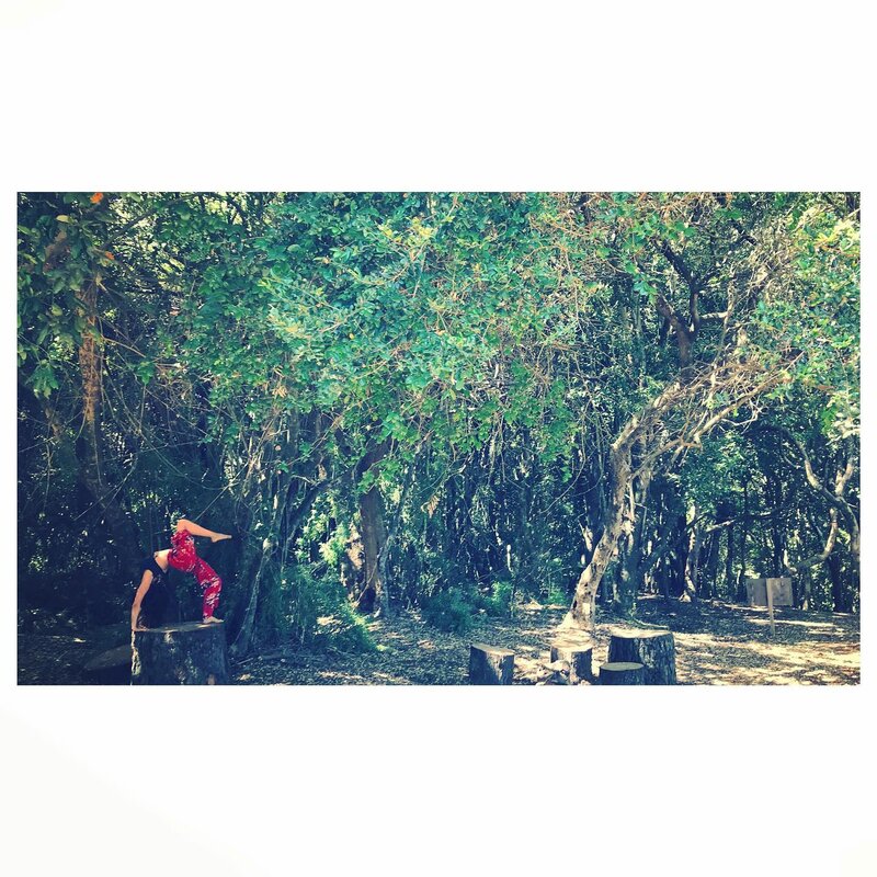 Alejandra practicando yoga en el bosque — backbend en tronco